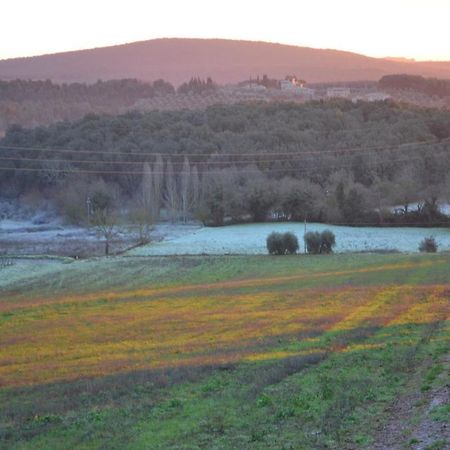 Ancaiano Podere Ficareto Farm מראה חיצוני תמונה
