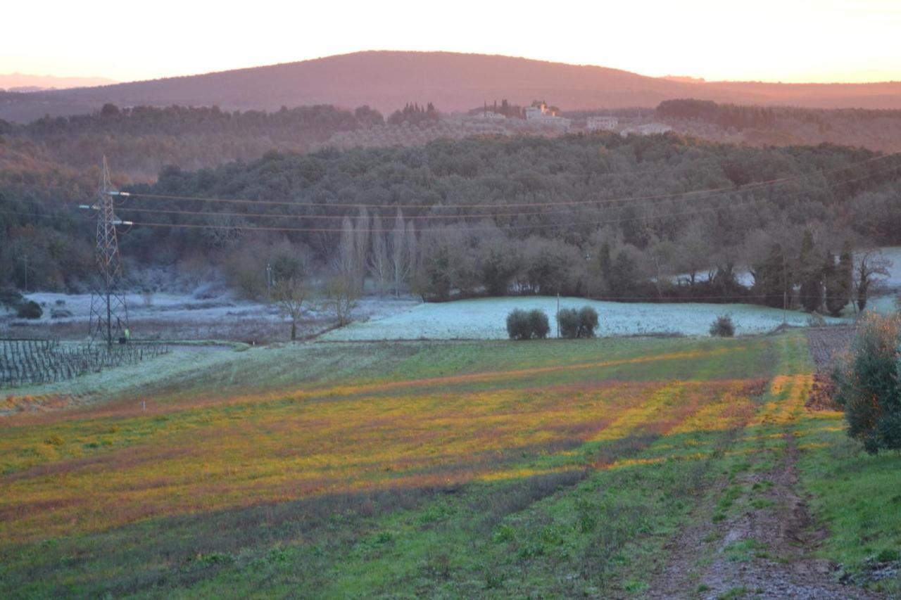 Ancaiano Podere Ficareto Farm מראה חיצוני תמונה