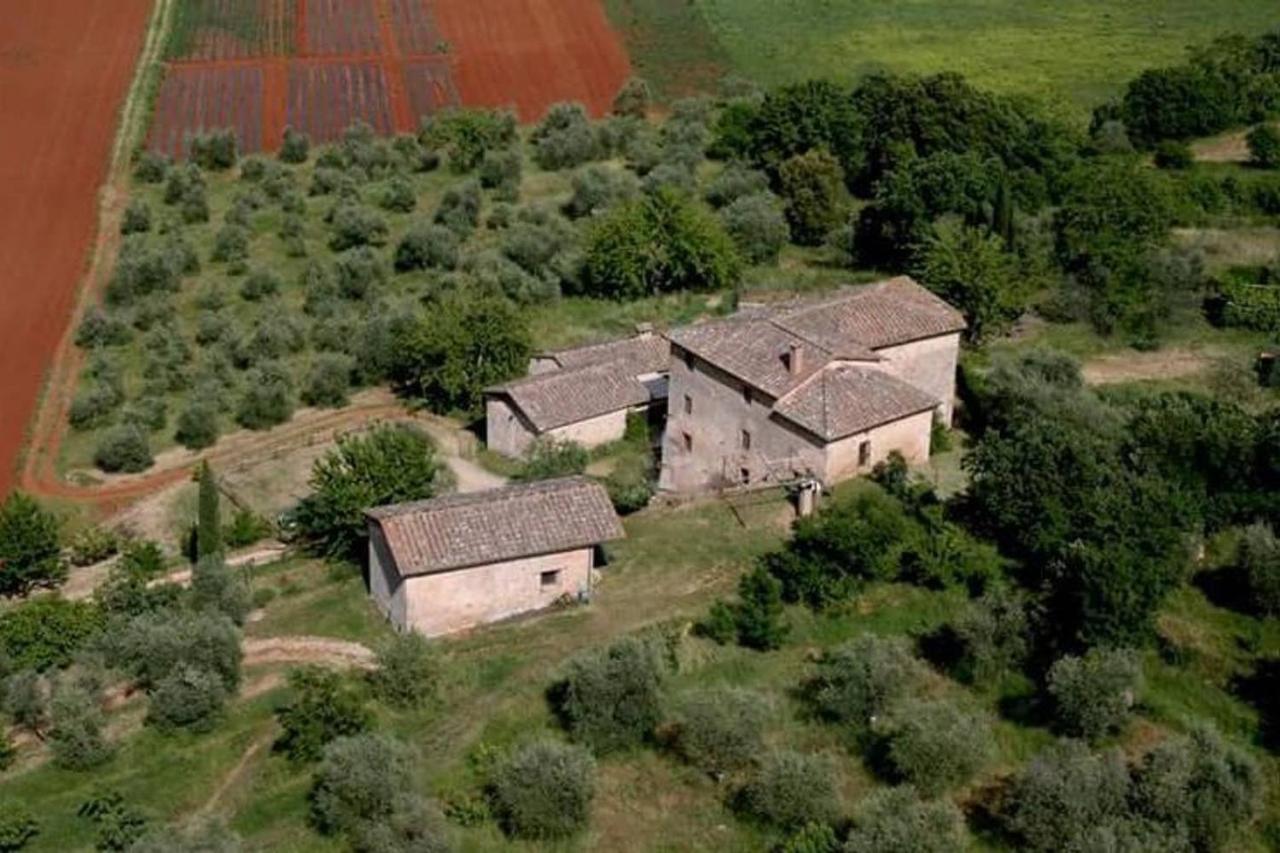 Ancaiano Podere Ficareto Farm מראה חיצוני תמונה